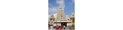 திருக்கோவிலூர்